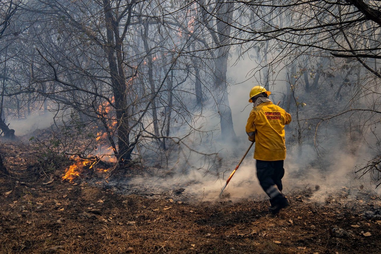 En lo que va del año se han registrado en Puebla 274 incendios forestales