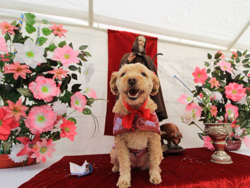 Archivo | Foto: Agencia Es Imagen para El Universal Puebla