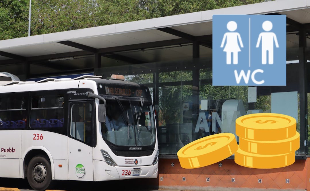 Ya se podrán usar los sanitarios de la RUTA | Foto: Especial