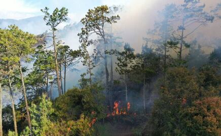 Incendio forestal en Zacatlán fue un hecho totalmente atípico: gobernador de Puebla