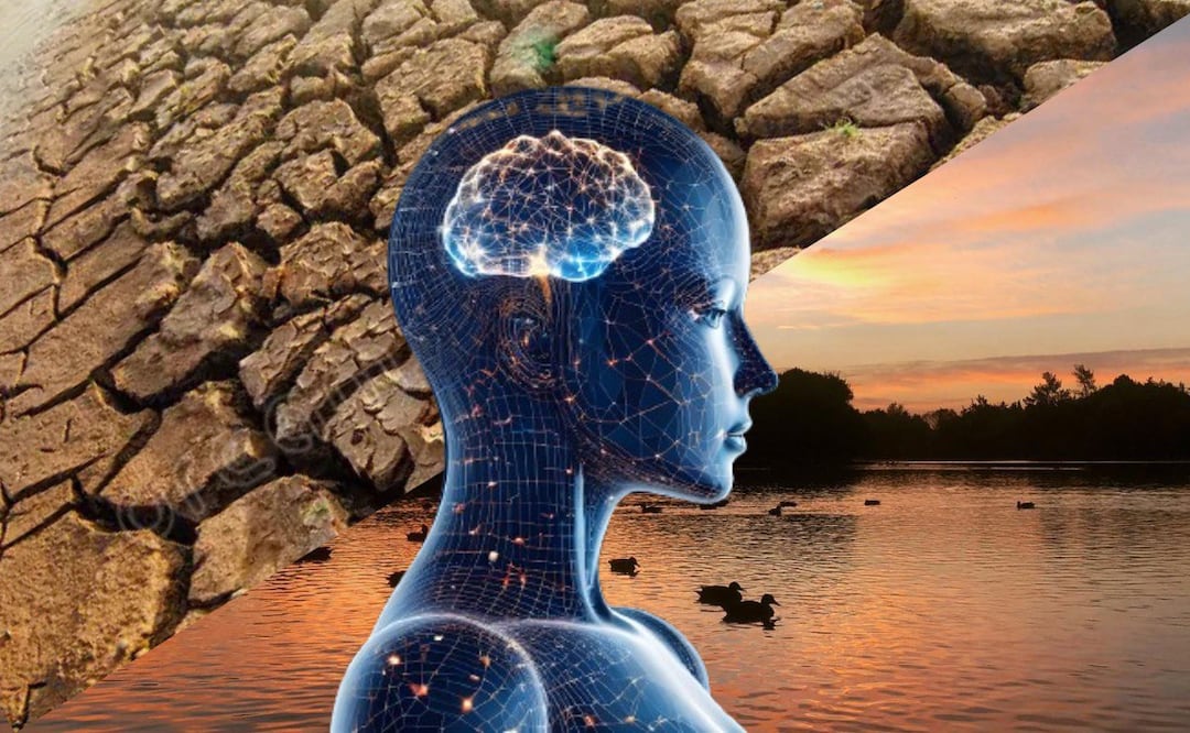 La IA revela el destino de las lagunas de Puebla | Foto: RRSS