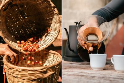 Día del Café: En este Pueblo Mágico producen uno de los mejores del mundo