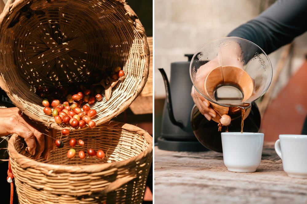 En Puebla hay un Pueblo Mágico donde el café se destaca | Foto: Pexels