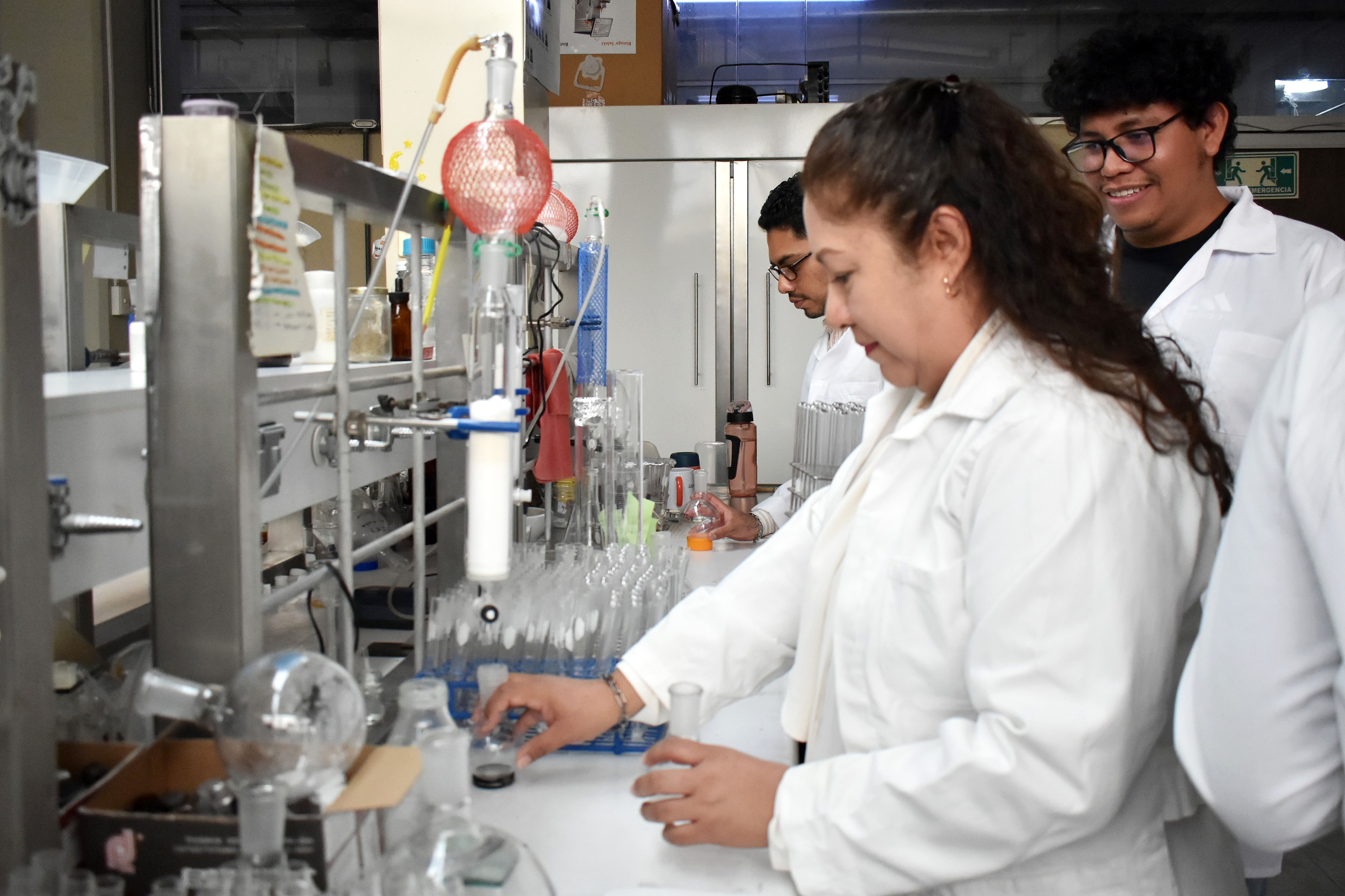 El compuesto es desarrollado a partir del barbasco una planta endémica de México | Foto: Buap