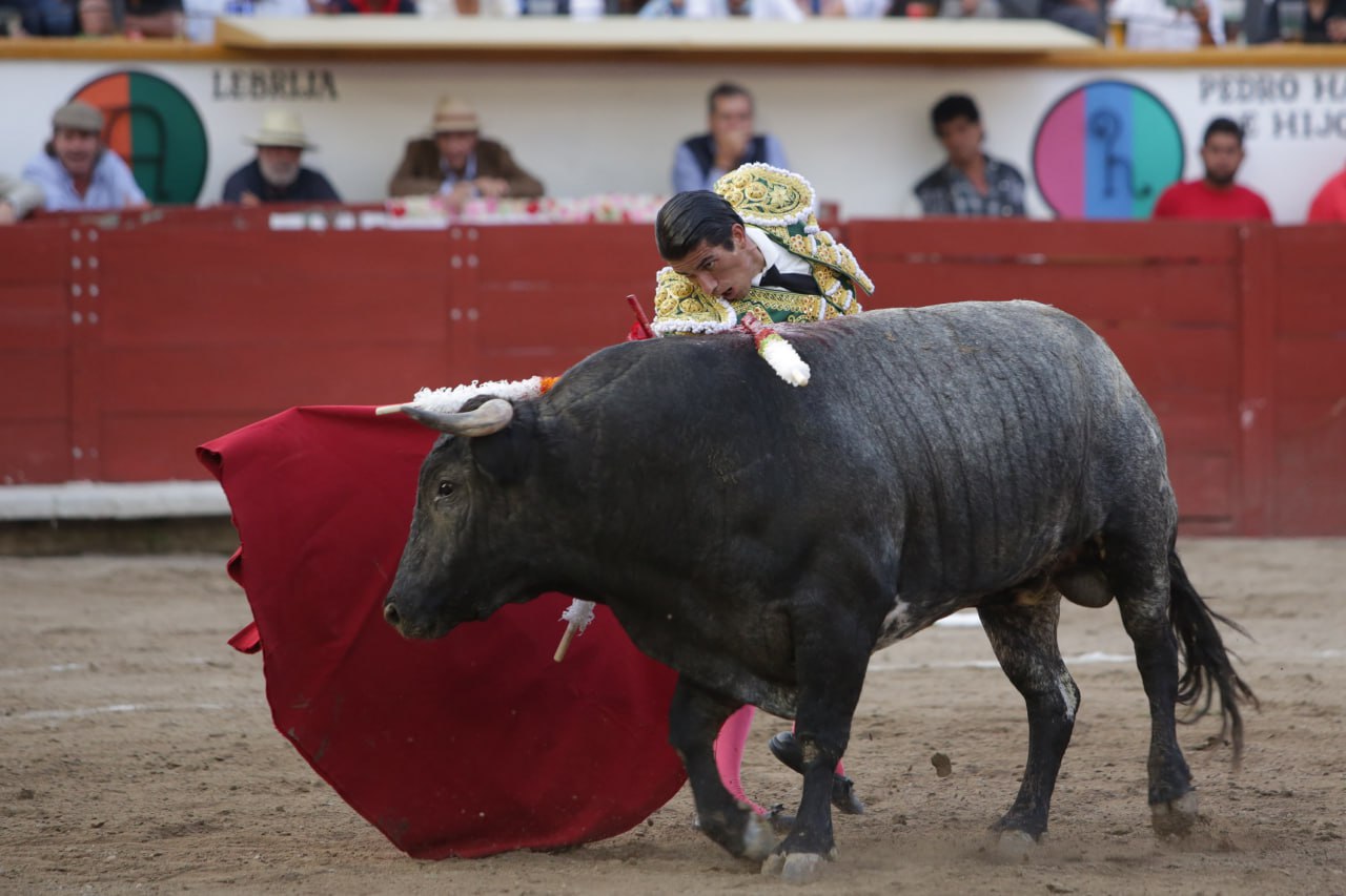 ¿Están prohibidas las corridas de toros en Puebla?