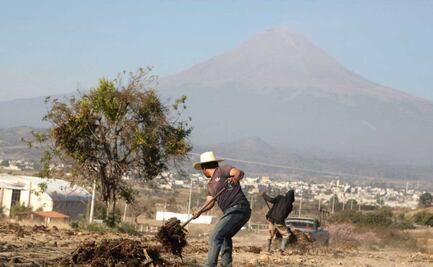 Campesinos temen daños a cultivos si cae más ceniza volcánica 