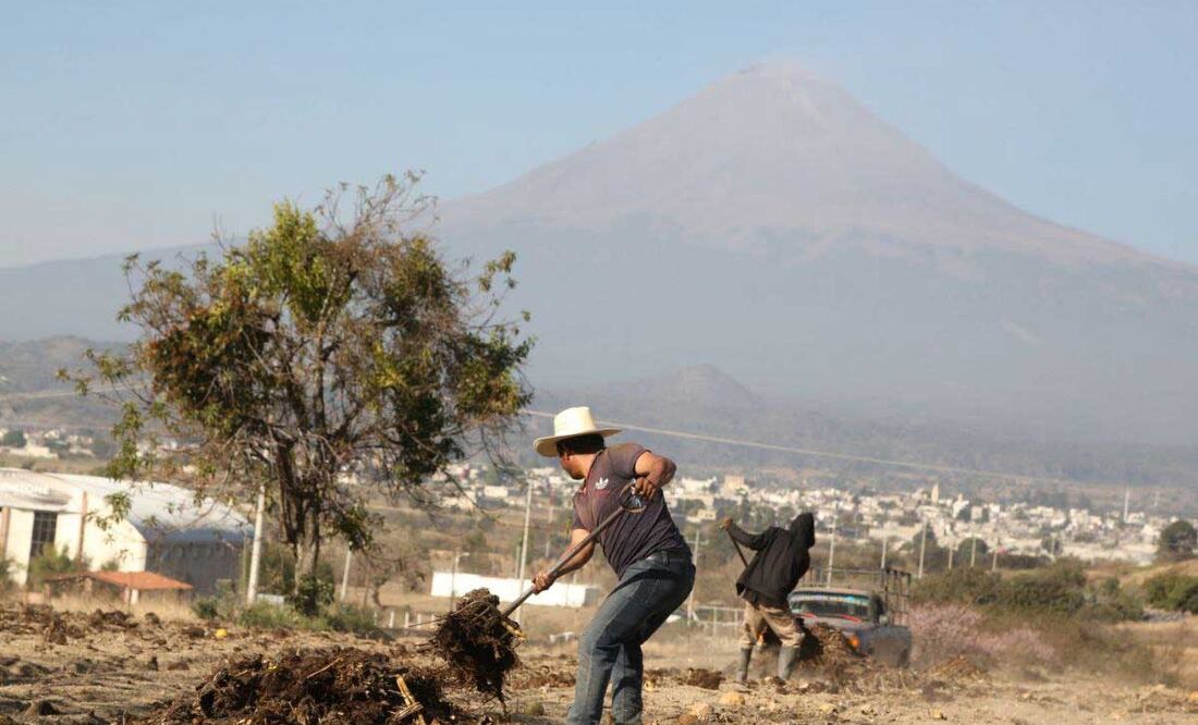 Algunos productores en la zona del Popocatépetl aún no inician la siembra y otros ya casi levantan cosecha | Foto: agencia Es Imagen para El Universal Puebla