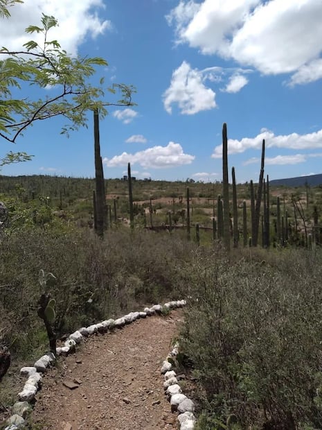 Foto: Google Maps