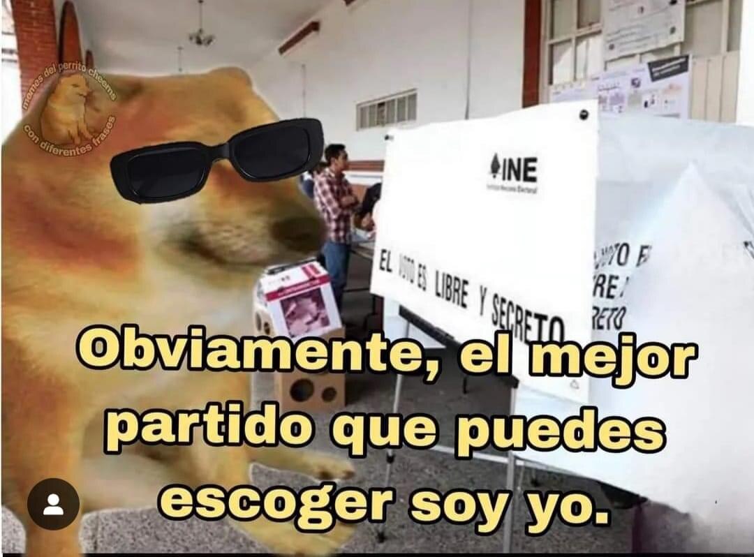 Memes de las Elecciones 2024 inundan las redes sociales | Canvas