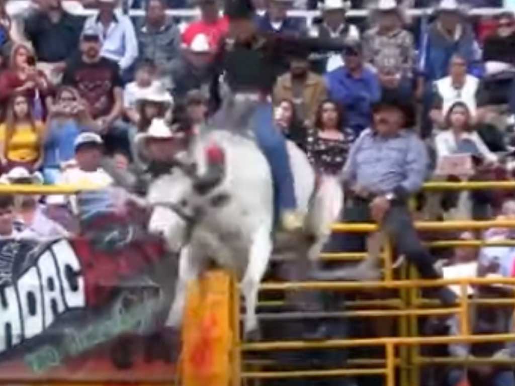Desde los 11 años de edad, menores arriesgan su vida en jaripeos