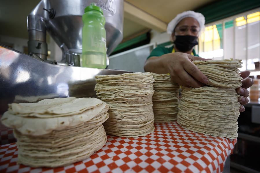 Esta estabilidad en los costos de la materia prima es crucial para mantener el precio de la tortilla en niveles manejables para el consumidor. 

Foto: Producción El Universal Puebla
