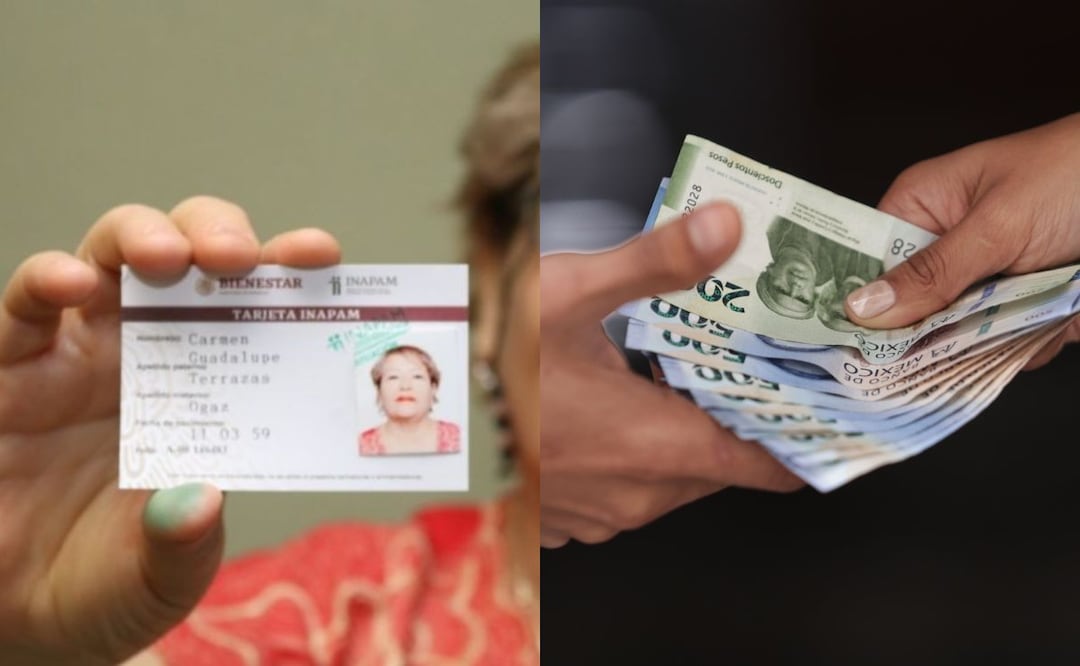 Los adultos mayores pueden obtener hasta 12 mil pesos con el programa de Vinculación Productiva | Foto: Archivo El Universa / EsImagen