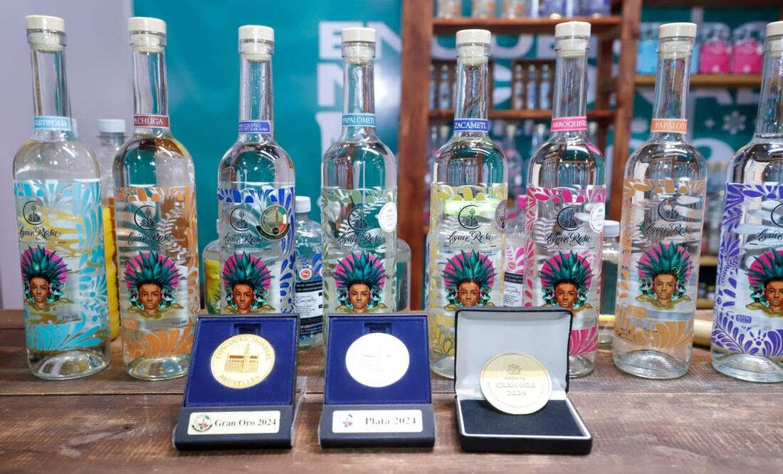 La secretaria de Agricultura y Desarrollo Rural, Ana Laura Altamirano, afirmó que Puebla se consolida como el segundo estado productor de mezcal en el país, con más de 250 palenques y 70 envasadoras, en su mayoría propiedad de pequeños productores | Foto: Gobierno del Estado