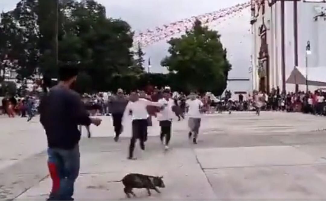 Un pequeño cerdo terminó con las patas fracturadas por un juego en la Feria de Tecali de Herrera | Foto: Captura Twitter Cuenta Conmigo