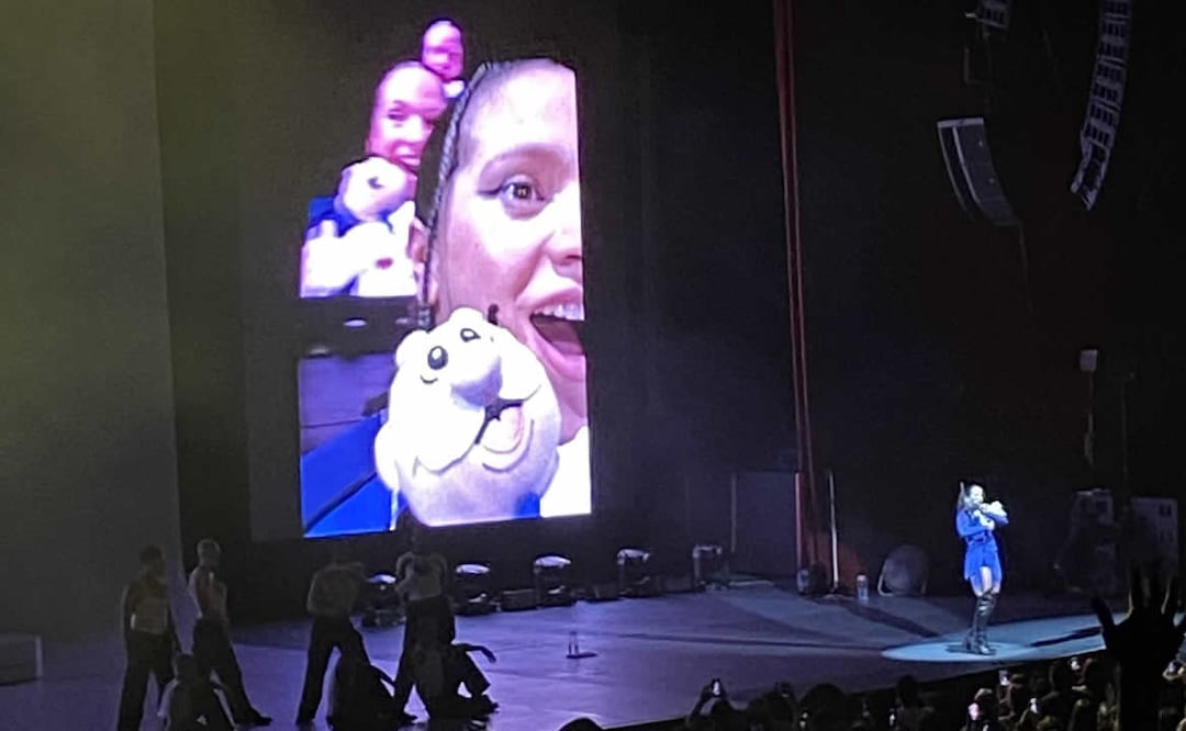 La cantante Rosalía recibió una lluvia de peluches. Foto: Mayin Loyo / Twitter