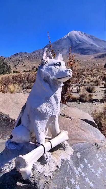 Citla, el perrito guardián de la montaña que aún es visitado por alpinistas 