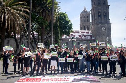 Día Mundial Antitaurino: ¿En Puebla están permitidas las corridas de toros?
