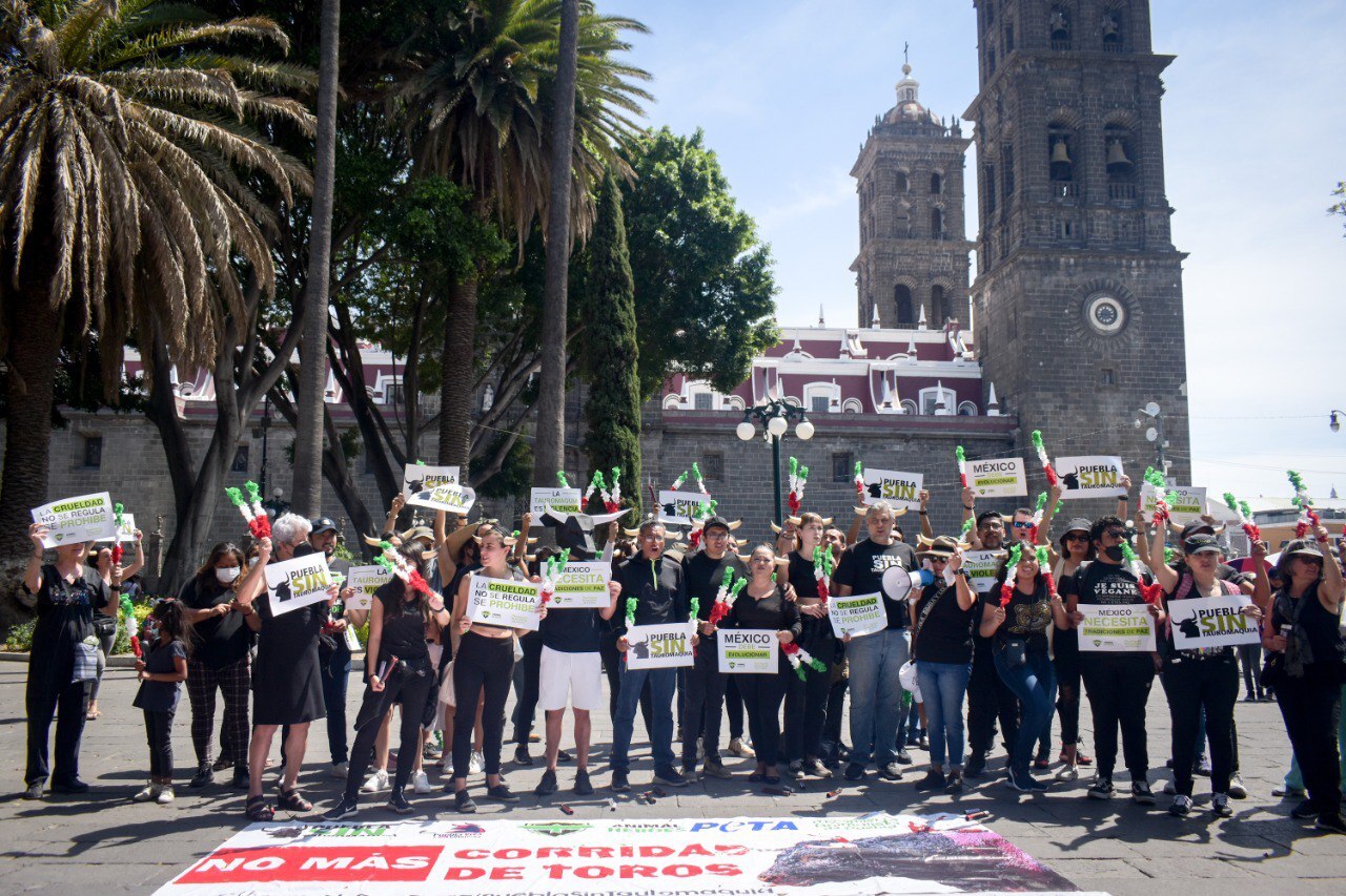 Día Mundial Antitaurino: ¿En Puebla están permitidas las corridas de toros?