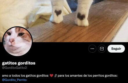 Marcelo Ebrard y las cuentas de Twitter más tiernas y raras que sigue
