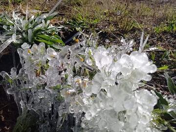 Puebla se congela, lugares turísticos y campos de cultivo amanecieron bajo hielo