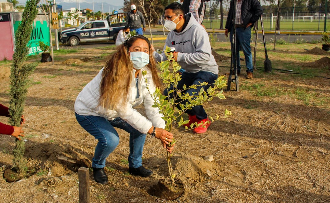 Se contempla la plantación de 600 árboles endémicos para abonar al cuidado ambiental | Foto: EsImagen