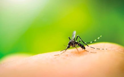 Día Internacional contra el dengue: en Puebla va a la baja