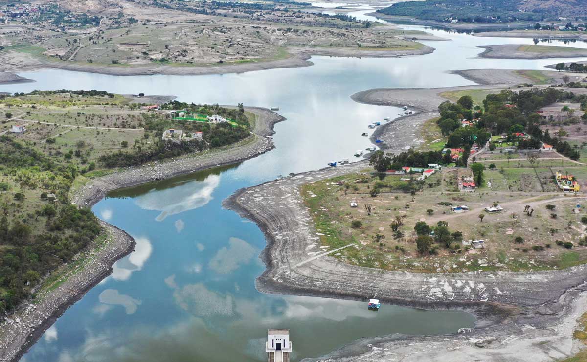Contaminación de Valsequillo es una barrera para la fauna