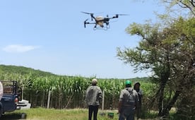 Usan drones para fumigar con precisión los campos de cultivo en Tepeojuma