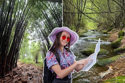 Cómo llegar al bosque de bambú cubierto de neblina en Puebla