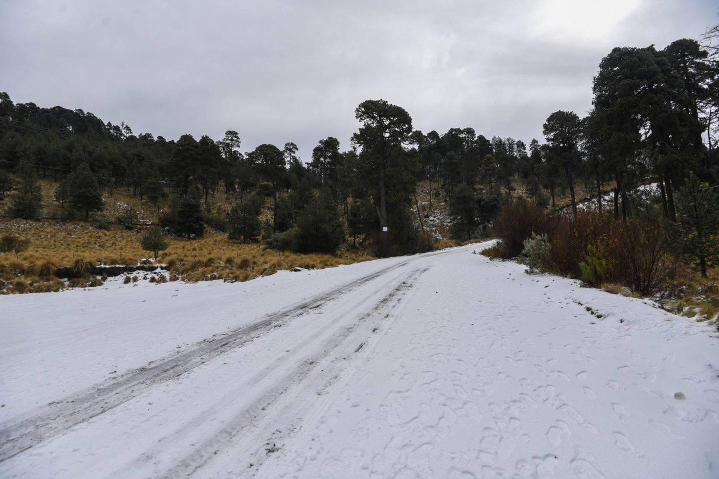 En el Nevado de Toluca podrás detenerte para desayunar y contemplar el paisaje | Foto: Redes Sociales