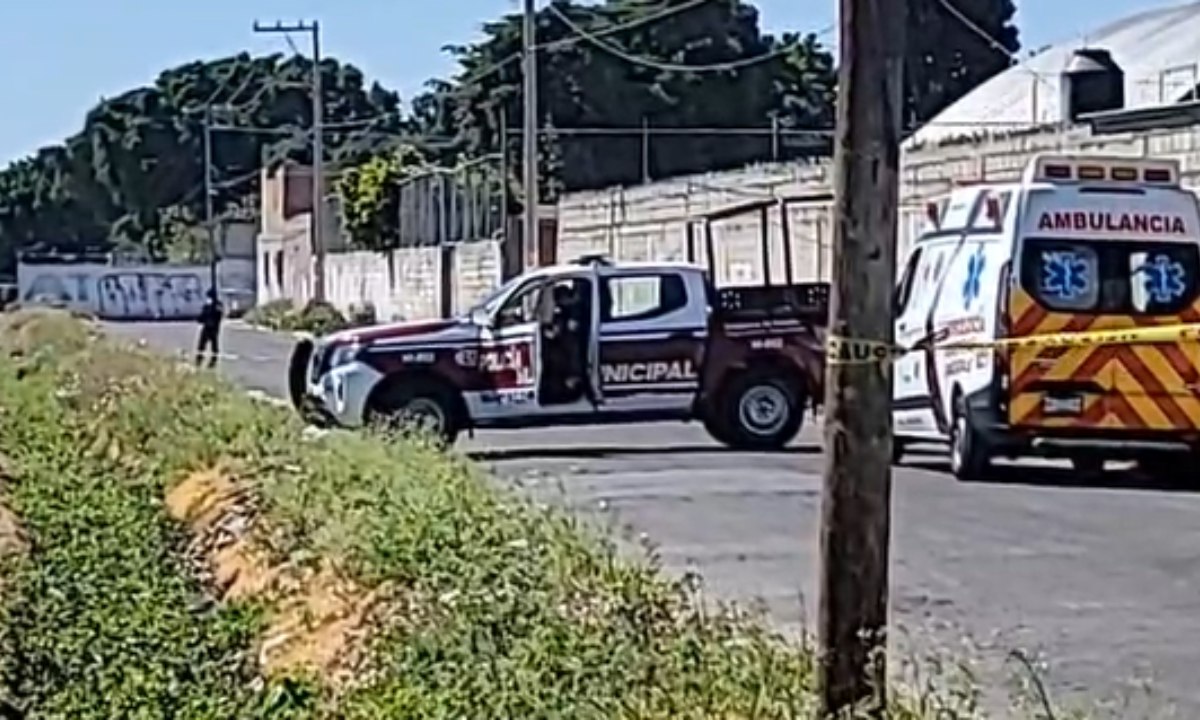 Feto abandonado en Atlixco: autoridades investigan en la colonia Revolución