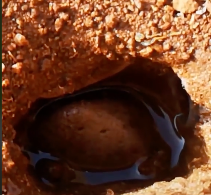 Hasta en Tik Tok explican el origen del socavón