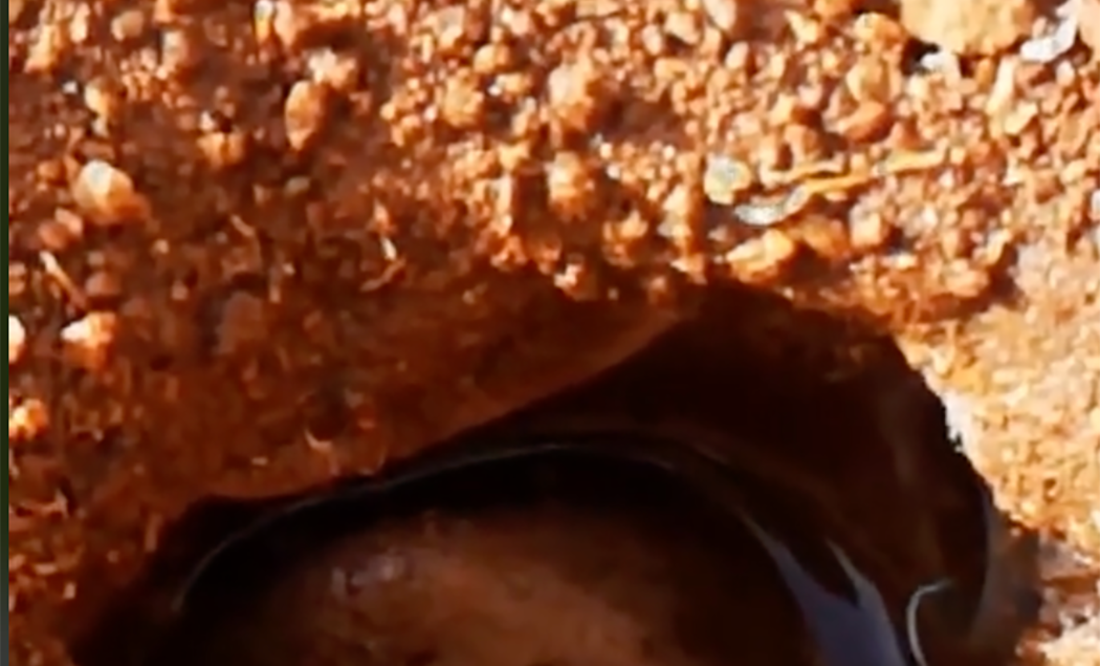 Hasta en Tik Tok explican el origen del socavón