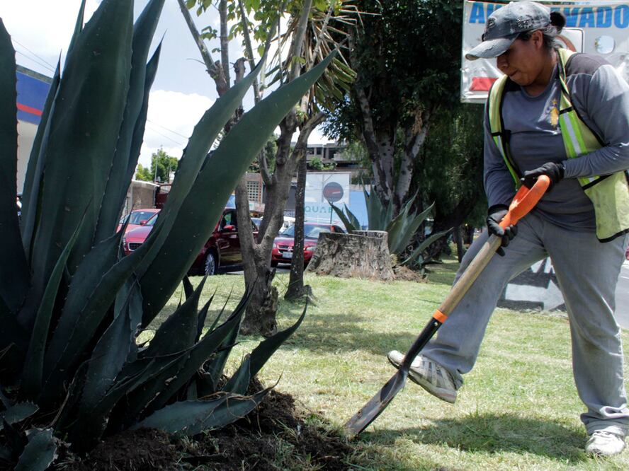 Foto: Agencia Enfoque para El Universal Puebla