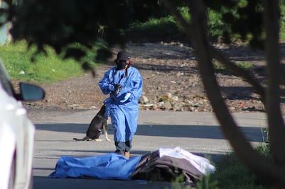 Se mantiene elevada incidencia de homicidios dolosos en Puebla: INEGI