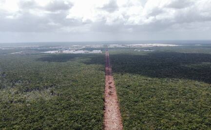 Con permiso provisional, gobierno federal justifica inicio de trabajos en el Tramo 5 del Tren Maya