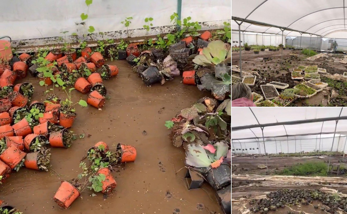 Tromba en Atlixco deja daños en 70 viviendas e invernaderos I Foto: Ayuntamiento de Atlixco