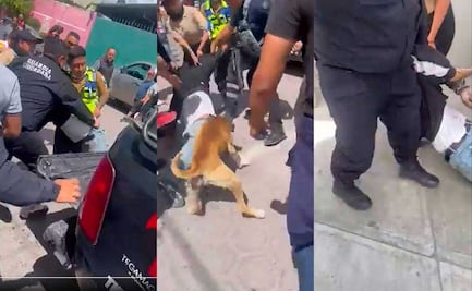 Hasta un perro le entra a intento de linchamiento en TecamachalcoÂ