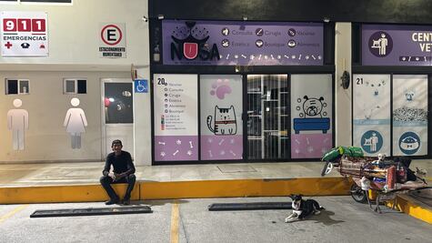 Hombre de 64 años caminó más de 30 kilómetros para buscar veterinario y salvar a su perrita Huesos