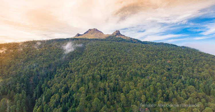 El Parque Nacional La Malinche es un tesoro natural que comparten Puebla y Tlaxcala | Foto: Gobierno de México