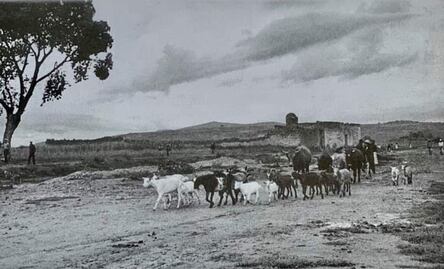 Así era el paisaje donde está Plaza Dorada