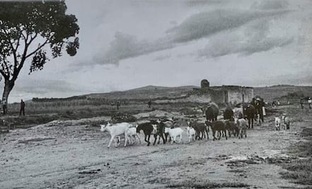 Así era el paisaje donde está Plaza Dorada