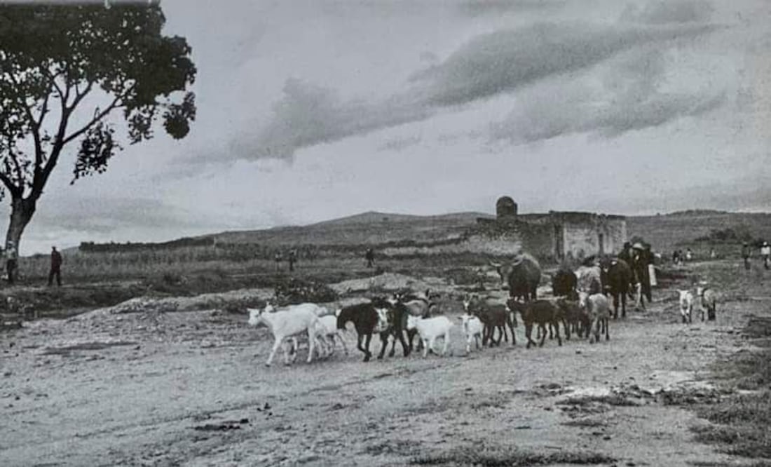 Poblanos añoran el jagüey que estaba antes de Plaza Dorada | Foto: Facebook Fernando Mario Salazar/Puebla Antigua