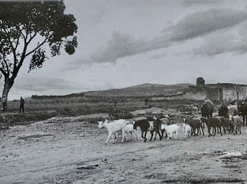 Así era el paisaje donde está Plaza Dorada