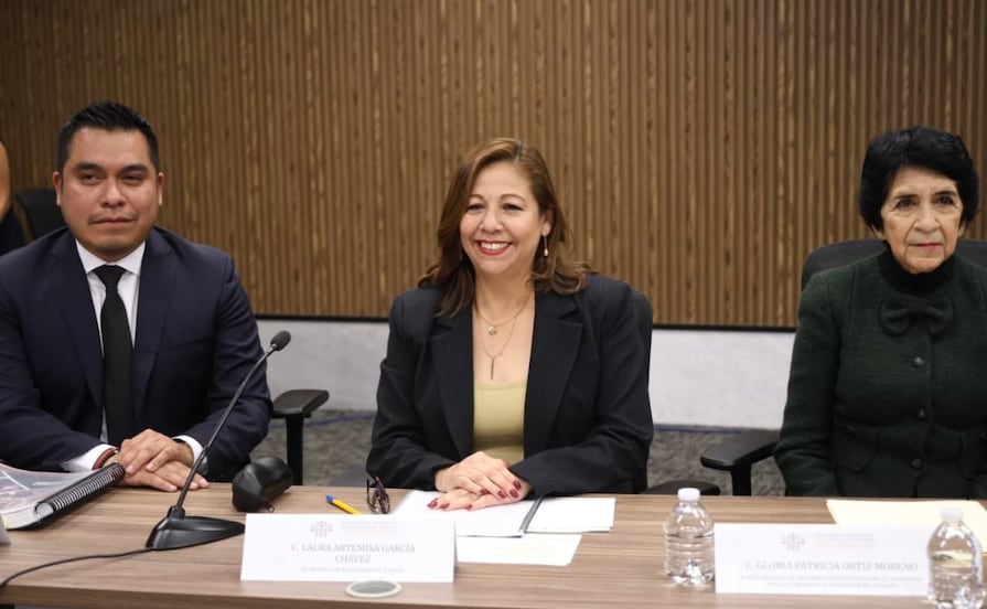 Familias de 89 municipios recibieron apoyos para la vivienda: Laura Artemisa 