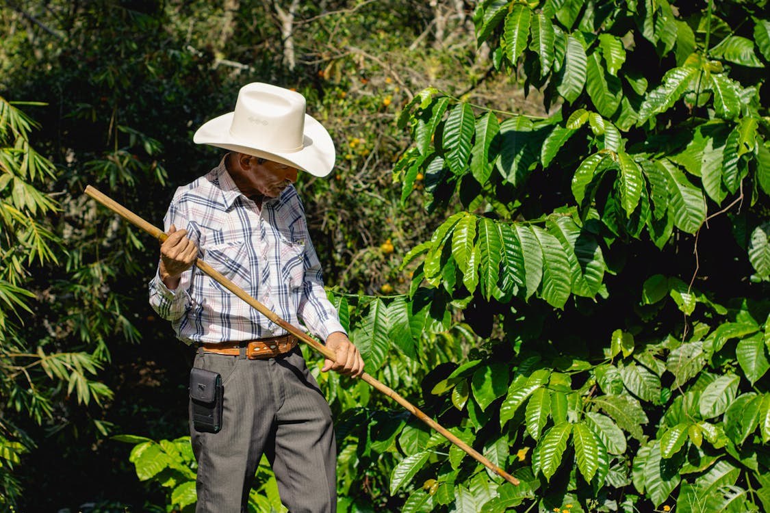 Xicotepec | Foto: Pexels