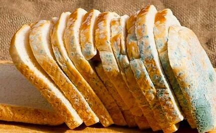 ¿Se puede comer un alimento con moho si se le quita?