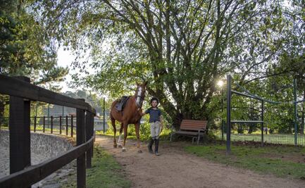Aprende a montar a caballo en Puebla, aquí el mejor curso de verano 