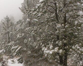 No son los Alpes Suizos, es la Malinche con nieve 