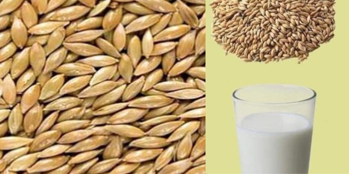 ¿Qué pasa si bebes leche de alpiste todos los días?